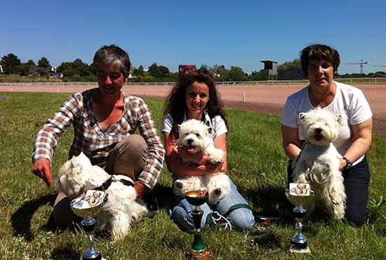 Trois chiens avec leur maître